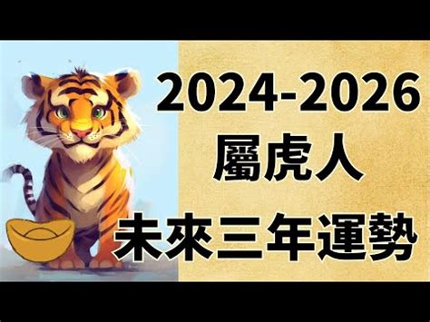 屬虎養貓|2025 屬虎適合養什麼？選擇與建議指南